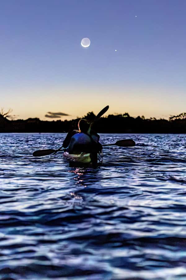 Auckland: Night Kayak Tour in Glowing Bioluminescent Waters - The 75-Minute Glow Window: Watching Sea Sparkle Form Around You