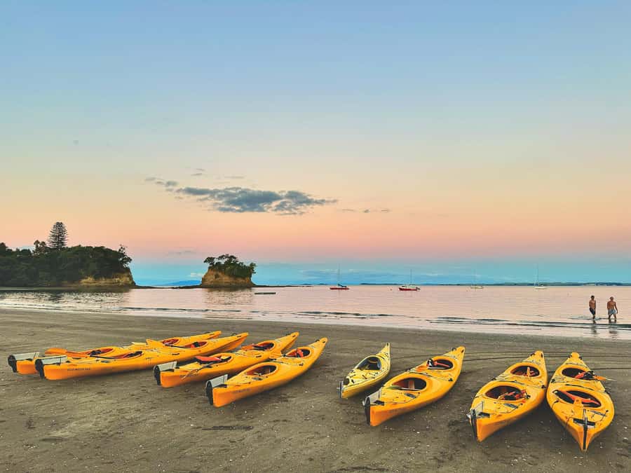 Auckland: Night Kayak Tour in Glowing Bioluminescent Waters - A Short Break on Shore: How to Use the 15 Minutes Wisely