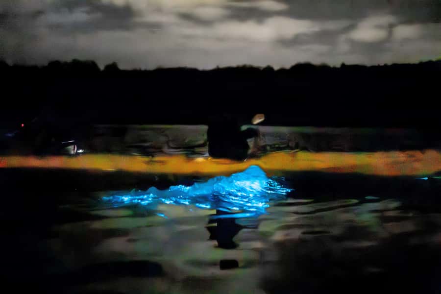 Auckland: Night Kayak Tour in Glowing Bioluminescent Waters - Should You Book This Auckland Night Kayak Tour?