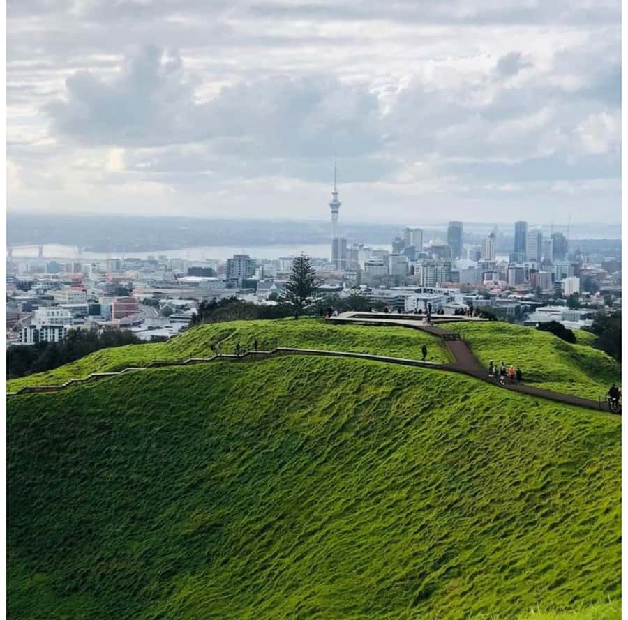 Auckland: Piha Beach, Rainforest, & Mount Eden Private Tour - From pickup to Waitākere Ranges: why this day works