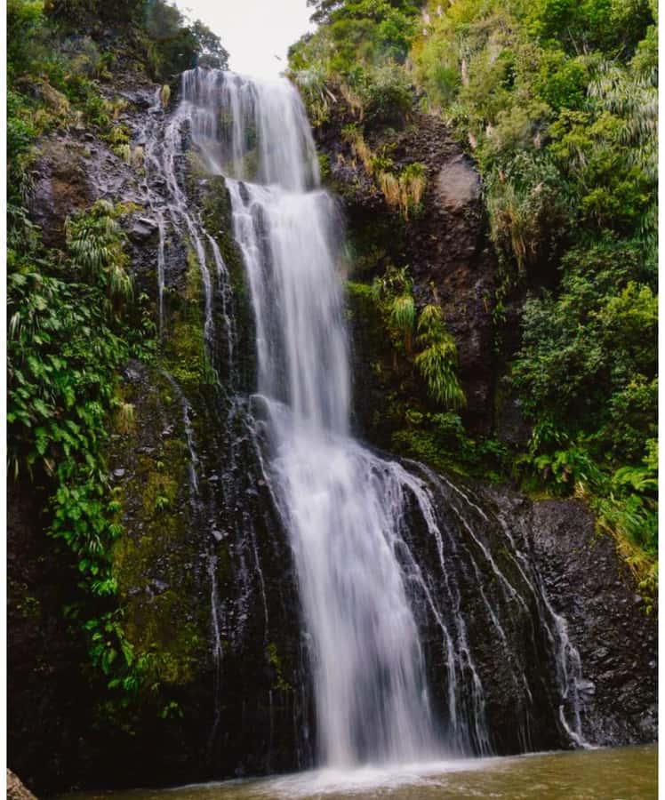 Auckland: Piha Beach, Rainforest, & Mount Eden Private Tour - Price and value: is $262 per person fair for this 5-hour day?