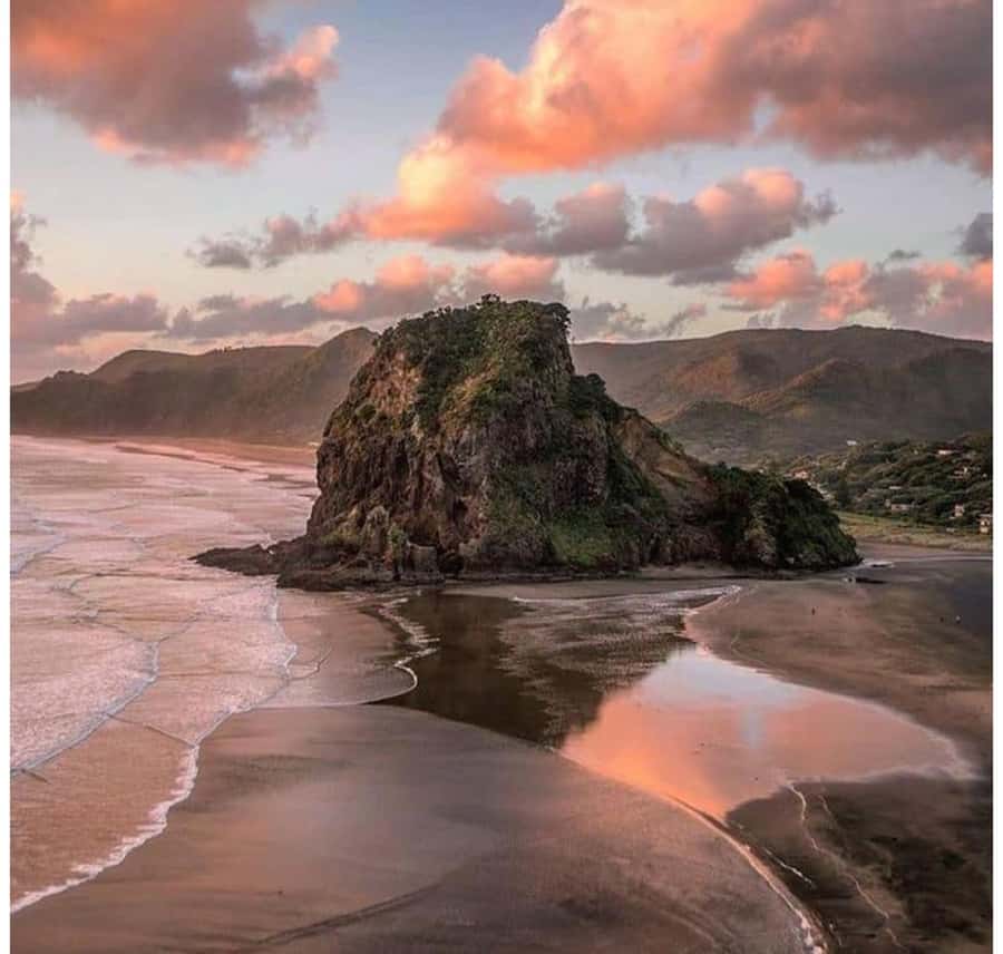 Auckland: Piha Beach, Rainforest, & Mount Eden Private Tour - Arataki Cultural Centre: Māori legends that make the forest make sense