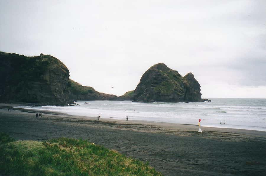 Auckland Private Tour: West Coast Wilderness & Piha Beach - West Coast Wilderness to Piha: what makes this day work
