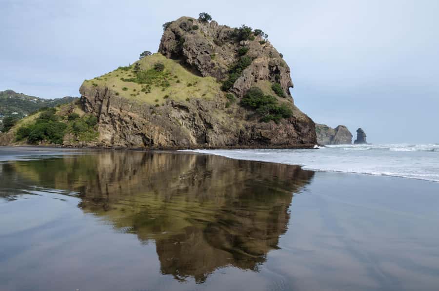 Auckland Private Tour: West Coast Wilderness & Piha Beach - Karekare Waterfall in the rainforest