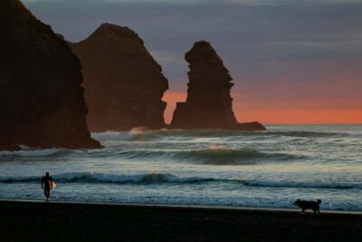 Auckland Private Tour: West Coast Wilderness & Piha Beach - Getting oriented at Arataki Visitor Centre
