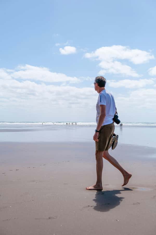 Auckland Private Tour: West Coast Wilderness & Piha Beach - What to bring (and what can ruin the day)