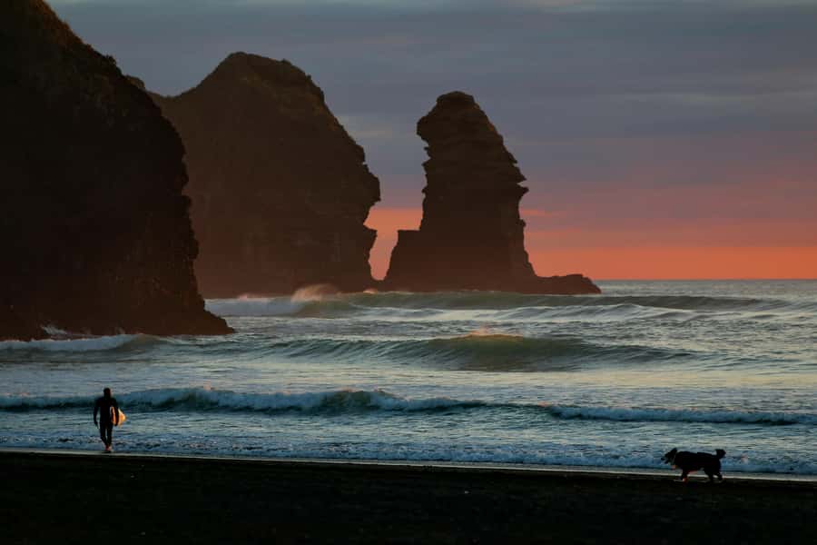 Auckland Private Tour: West Coast Wilderness & Piha Beach - Getting oriented at Arataki Visitor Centre