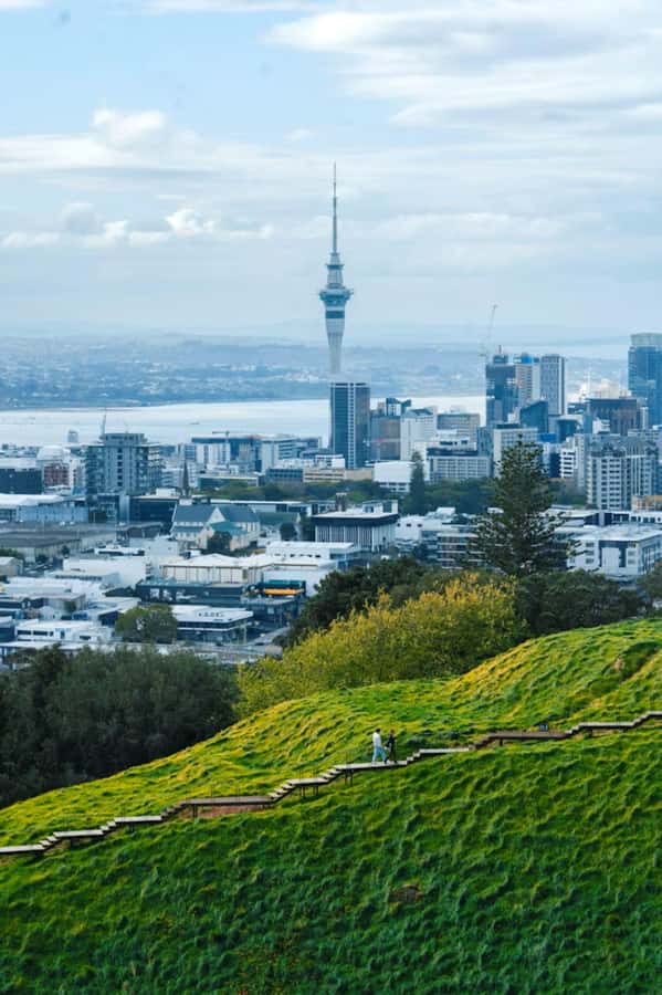 Auckland: Private Walking Tour with a Local - Where You Start: Queen Street or Auckland Domain