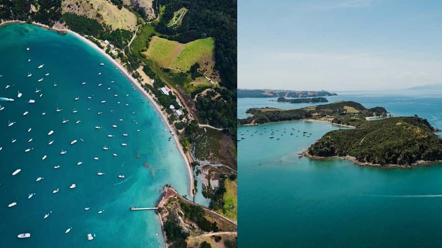 Auckland: Rotoroa Island and Man O'War Vineyard Combo Tour - Key things I’d zero in on