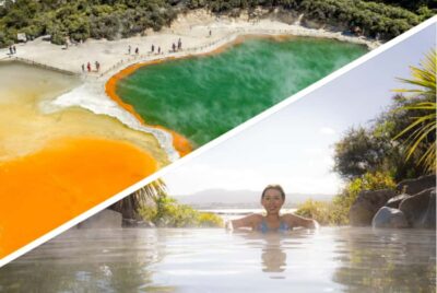 Auckland: Rotorua Highlights inc Wai-O-Tapu & Polynesian Spa - The Waikato drive: farms, rivers, mountains, and the Tirau detour