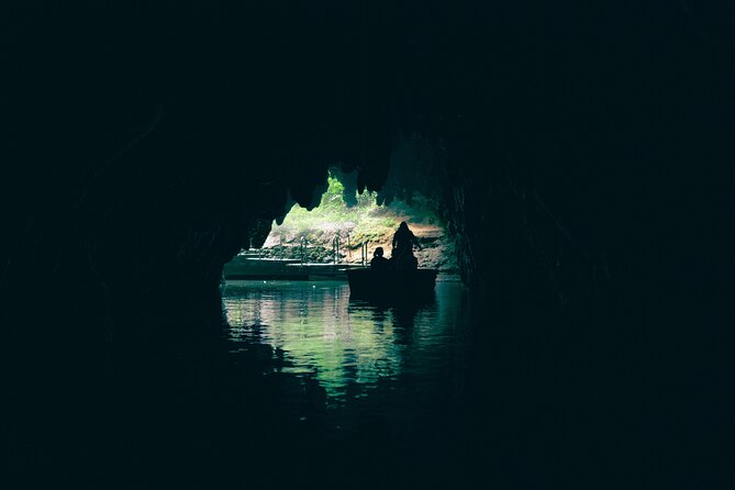 Auckland: Rotorua Māori Village, Waitomo Caves & Lunch - Price and Value: Is $257.54 Worth a 12-Hour Day?