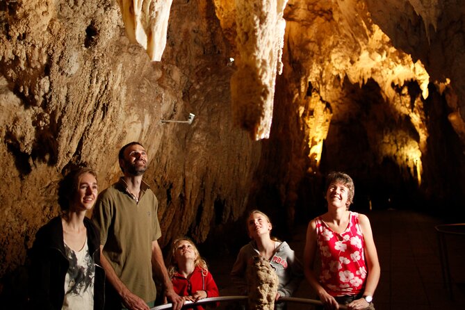 Auckland: Rotorua Māori Village, Waitomo Caves & Lunch - Should You Book This Auckland–Rotorua–Waitomo Tour?