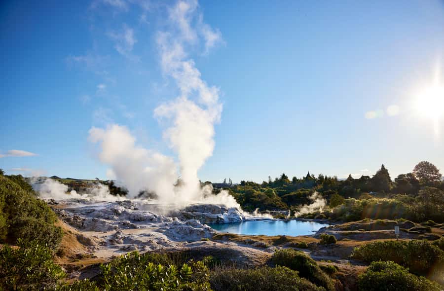 Auckland: Rotorua Māori Village & Waitomo Caves with Lunch - Geothermal sights: geysers, mud pools, and steaming vents