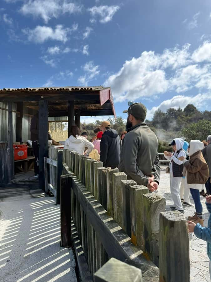 Auckland: Rotorua Māori Village & Waitomo Caves with Lunch - Who this tour fits best (and who should think twice)