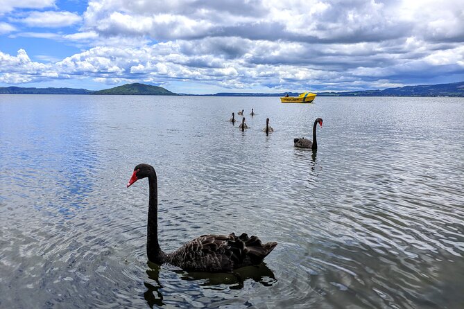 Auckland: Rotorua, Taupo, Waiotapu & Huka Falls Private Trip - Price and value: what $465 pp is buying you
