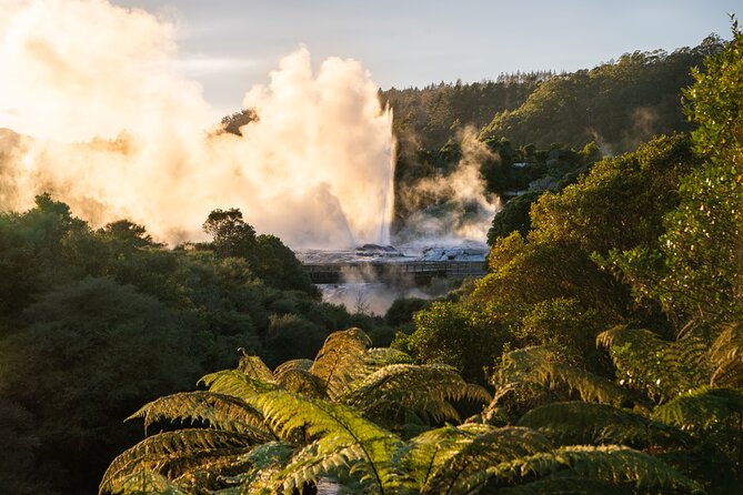Auckland: Rotorua Te Puia with Haka & Polynesian Spa Small Group - Price and value: $245.13 for a packed day that’s hard to DIY