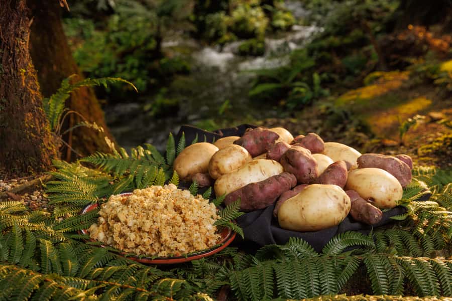 Auckland: Rotorua Tour with Mitai Māori Village & Wai-O-Tapu - A few smart tips before you go