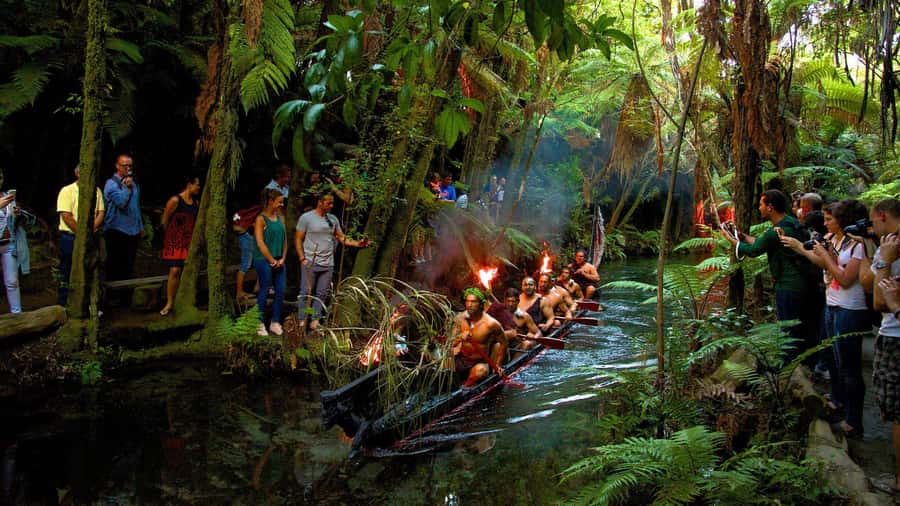 Auckland: Rotorua Tour with Mitai Māori Village & Wai-O-Tapu - Should you book this Auckland to Rotorua tour?