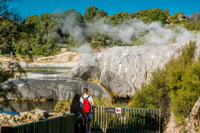 Auckland: Rotorua Tour with Waiotapu, Te Puia and Maori Haka - Te Puia and the Te Ra + Haka show: kiwis, geysers, and singing
