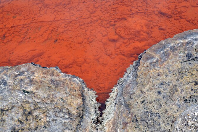 Auckland: Rotorua Tour with Waiotapu, Te Puia and Maori Haka - Who this Rotorua combo tour fits best