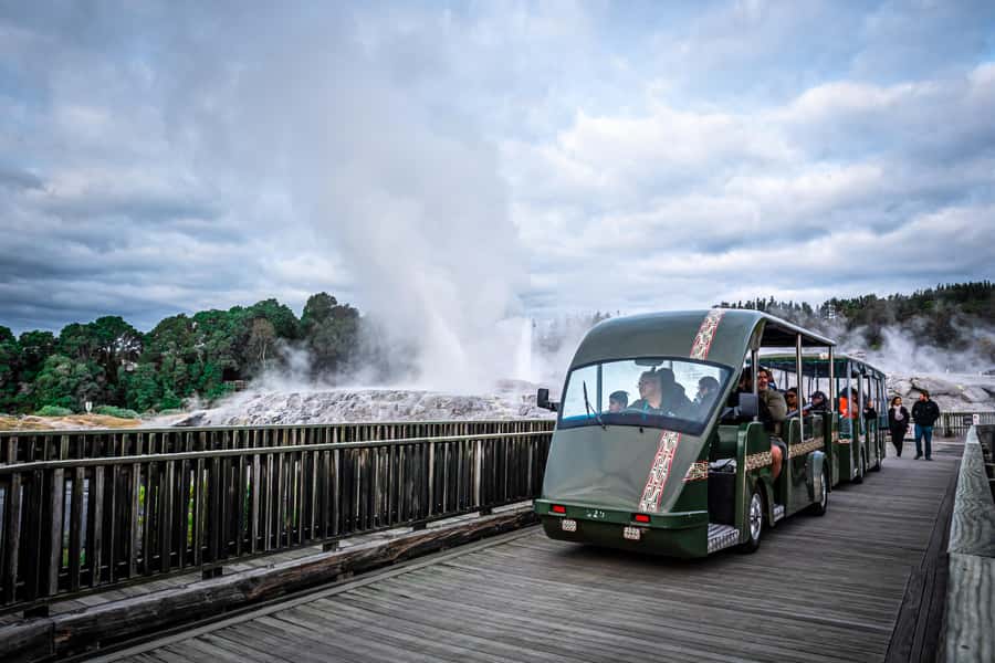 Auckland: Rotorua Wai-O-Tapu, Te Puia with Haka - Group size and pacing: what small-group comfort really changes