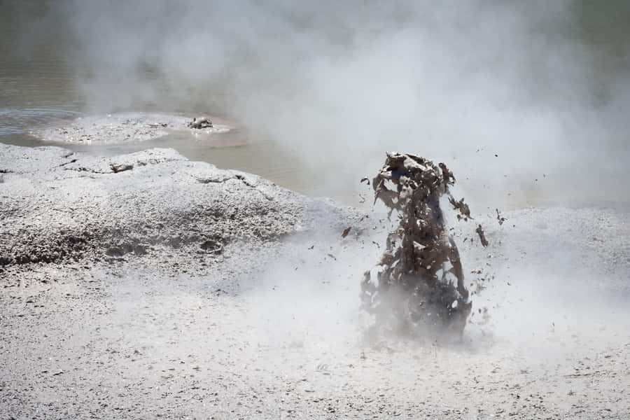 Auckland: Rotorua Wai-O-Tapu, Te Puia with Haka - Price and value: is $236 per person worth it?