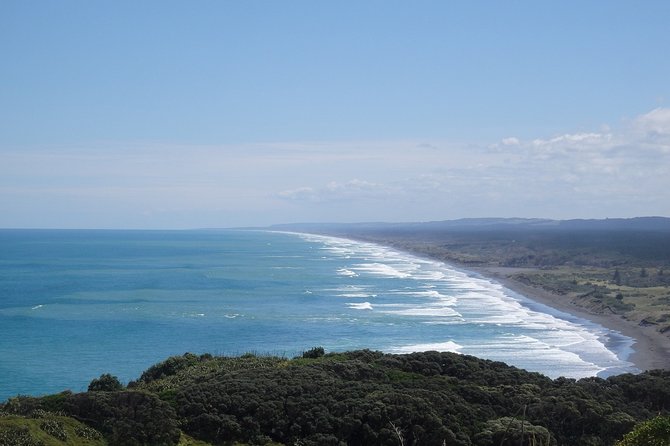 Auckland Scenic Day Tour Full-Day- 8 HOURS - Tamaki Drive, Viaduct Harbour, and the “how Auckland works” stops