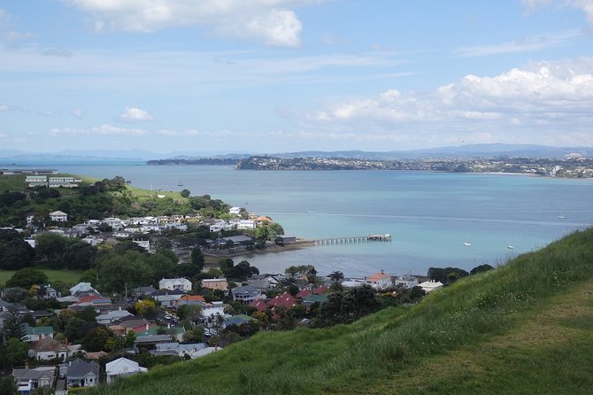 Auckland Scenic Day Tour Full-Day- 8 HOURS - West Auckland wine country and Riverhead: lunch with a history stop