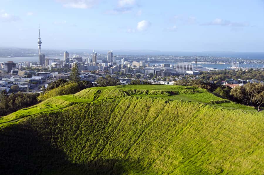 Auckland Scenic Half-Day City Sightseeing Tour - Key Highlights You’ll Actually Feel on the Day