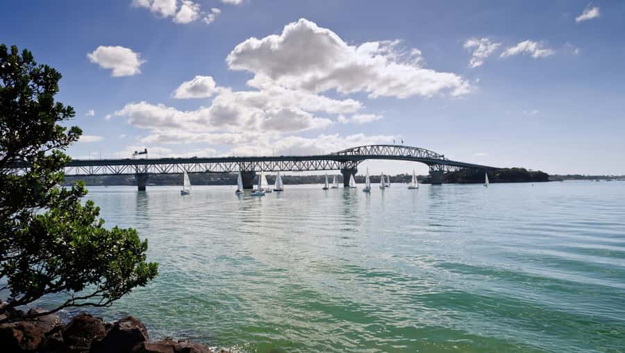 Auckland Scenic Half-Day City Sightseeing Tour - Should You Book This Tour?