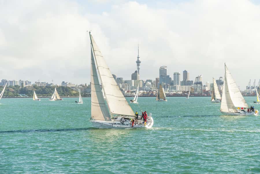 Auckland Scenic Half-Day City Sightseeing Tour - Waterfront Views: Viaduct Basin, Wynyard Quarter, and Westhaven Marina