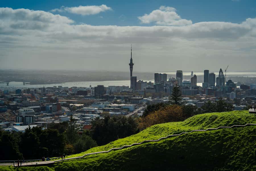 Auckland Scenic Half-Day City Sightseeing Tour - Harbour Bridge to Northcote Point: Skyline Photos Without Guesswork