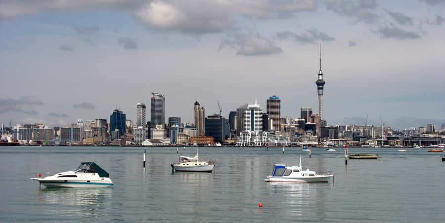 Auckland Scenic Half-Day City Sightseeing Tour - Meeting at 99 Quay Street and Finding Your Coach