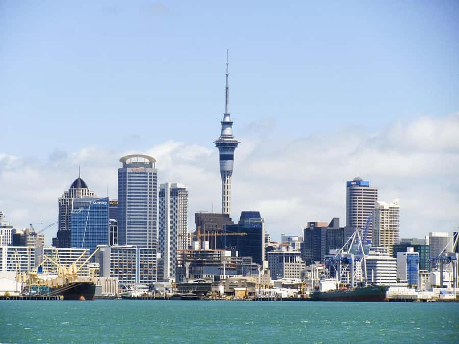 Auckland: Scenic Harbour Cruise with Live Commentary - Key Things You’ll Notice on This Cruise
