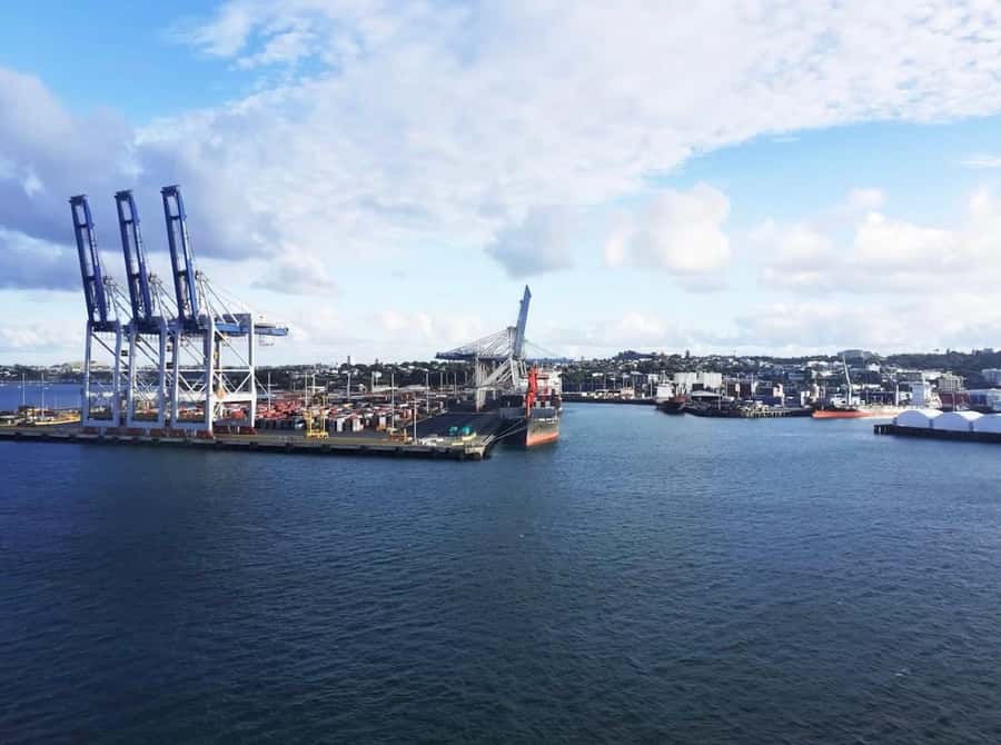 Auckland: Scenic Harbour Cruise with Live Commentary - Why this Waitematā Harbour cruise is worth the $17