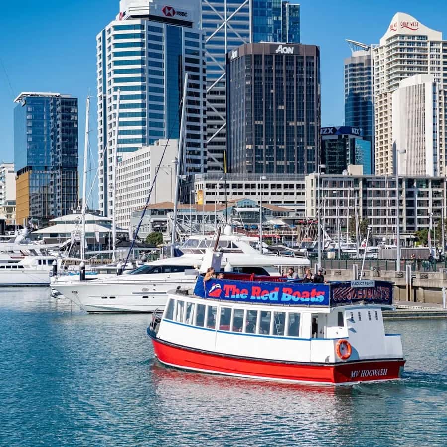 Auckland: Scenic Harbour Cruise with Live Commentary - Onboard vibe: comfort, drinks, and how the commentary feels