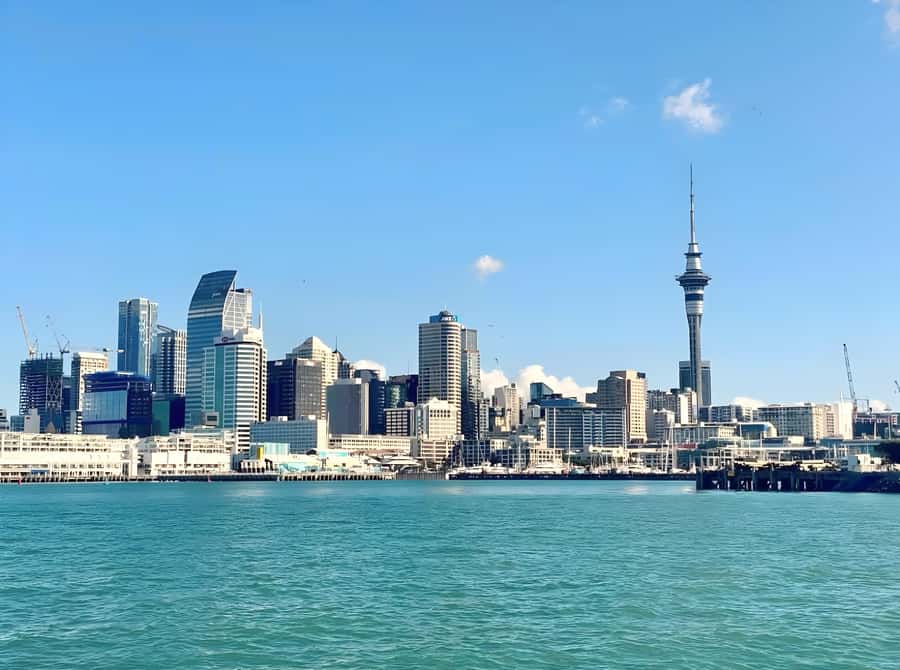 Auckland: Scenic Harbour Cruise with Live Commentary - Timing quirks: plan for a little extra slack