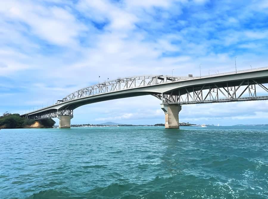 Auckland: Scenic Harbour Cruise with Live Commentary - Finding Z Pier at 31 Westhaven Drive (so you’re not rushing)