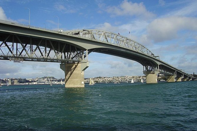 Auckland Scenic Tour : Must-See Sights in Half Day - Price and Value for a Half-Day Auckland Highlights Run