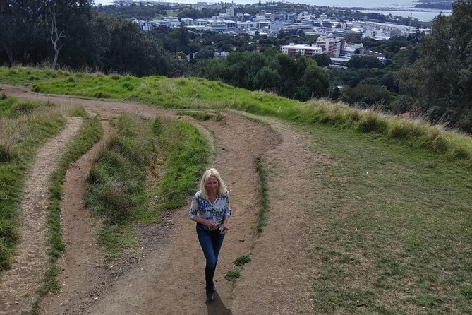 Auckland Scenic Tour : Must-See Sights in Half Day - Small-Group Comfort: Pickup, In-Car Pace, and the Guide Factor