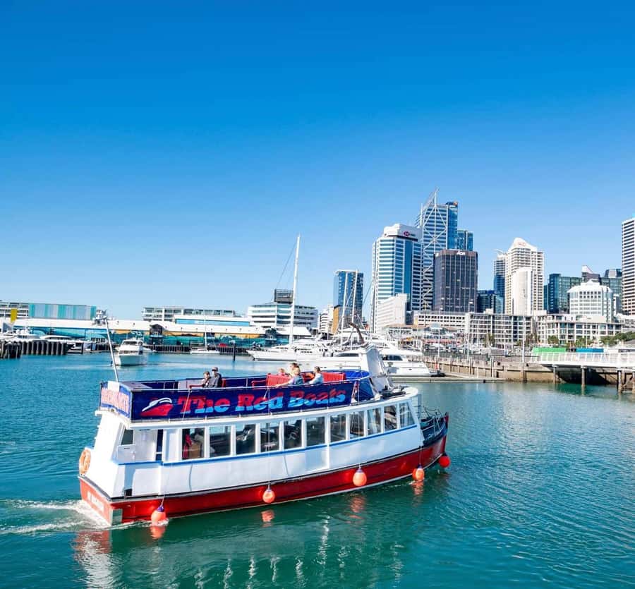 Auckland: Scenic Wine and Cheese Harbour Cruise - Who This Cruise Fits Best (And Who Might Want Something Else)