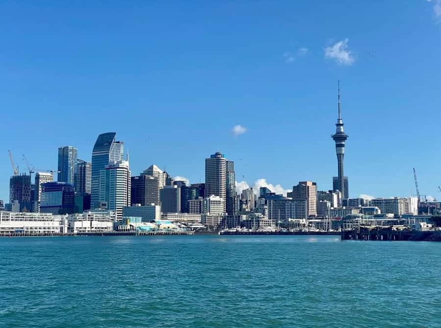 Auckland: Scenic Wine and Cheese Harbour Cruise - Should You Book It?