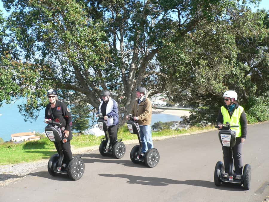 Auckland: Segway to North Head Volcano Summit - North Head Historic Reserve Fort: Tunnels, Gun Emplacements, and the Disappearing Gun
