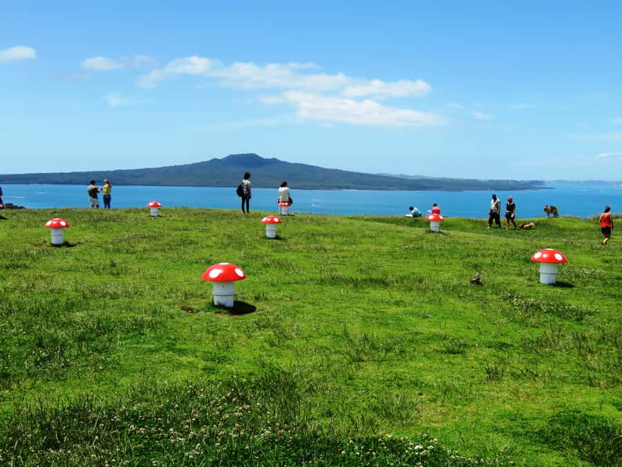 Auckland: Segway Tour to Mount Victoria - Key Highlights I Think You’ll Care About