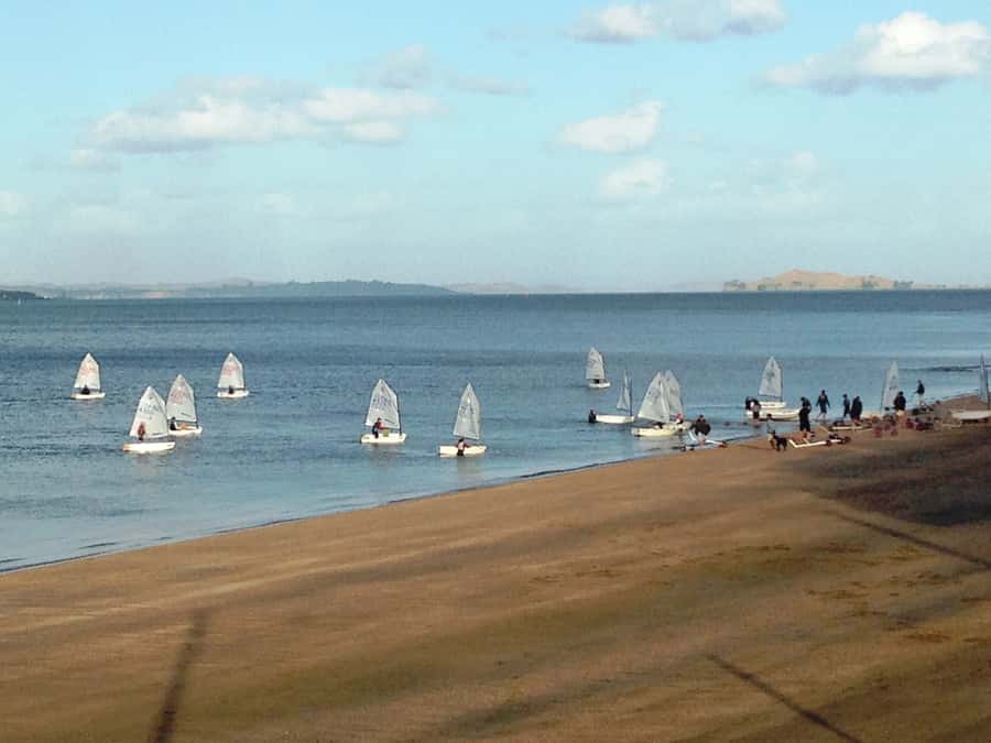 Auckland: Segway Tour to Mount Victoria - From Devonport Through Cambria Reserve: History, Wildlife, and Real Riding