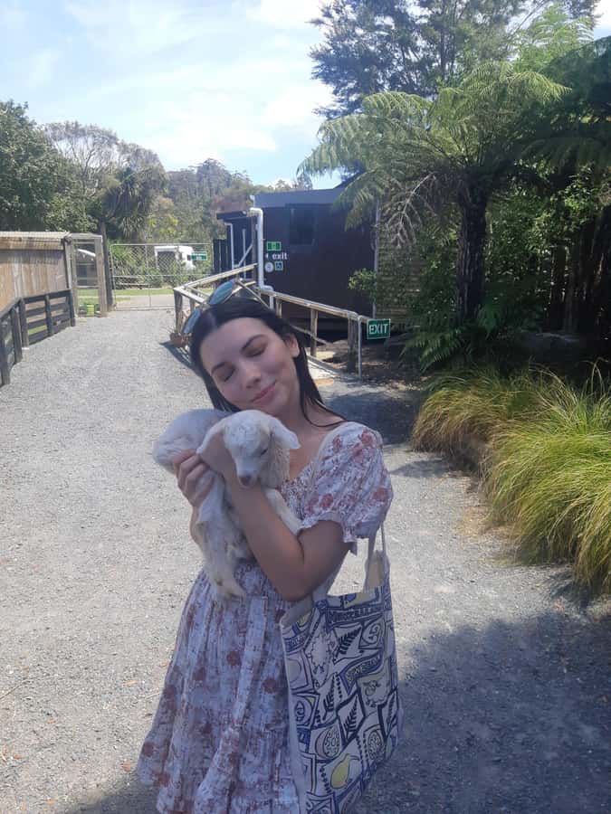 Auckland: Sheepworld, Honey Centre, & Kauri Trail Tour - Honey Centre: Tasting Manuka and Watching Live Bees