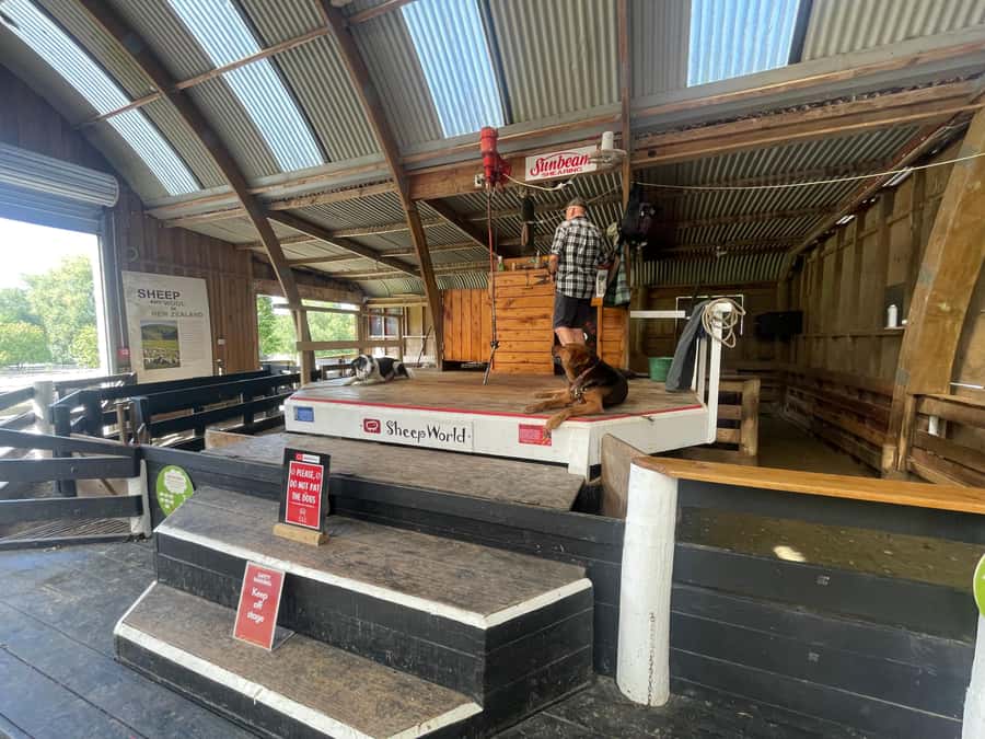 Auckland: Sheepworld, Honey Centre, & Kauri Trail Tour - Price and Value: Is $172 a Good Deal?