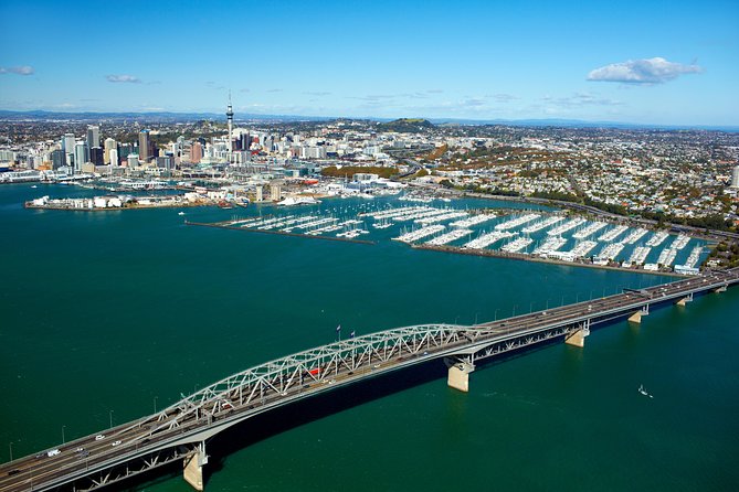 Auckland Shore Excursion: Half-Day Guided City Tour - Why this Auckland shore excursion feels like real orientation