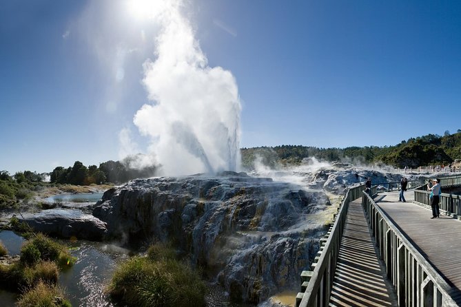 Auckland Sights Exclusive 4 Hour Luxury Day Tour - What makes this Auckland day tour feel like luxury