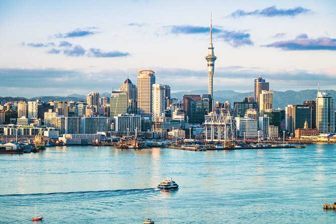 Auckland Sky Tower General Admission Ticket - 220 Meters and Beyond: The Viewing Experience You’ll Actually Enjoy